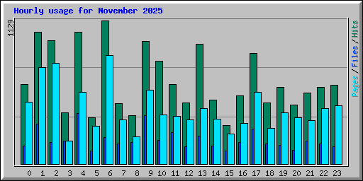 Hourly usage for November 2025